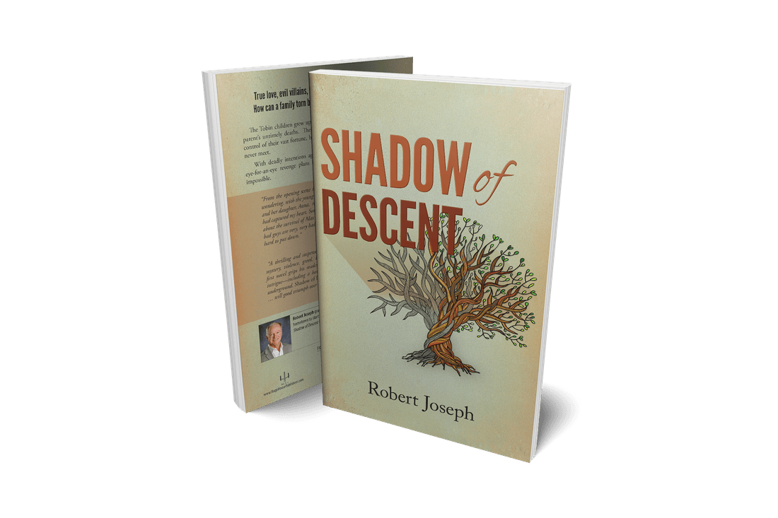 Shadow of Descent front and back cover spread